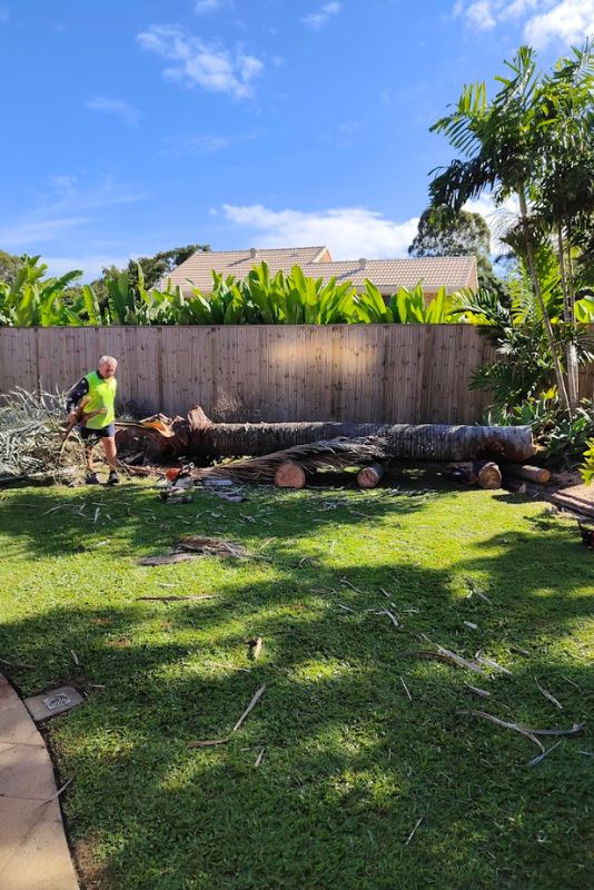 Vertical Standard Blog Palm Tree Removal 2